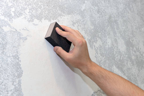 Best Asbestos and Lead Testing During Mold Inspection  in River Falls, WI