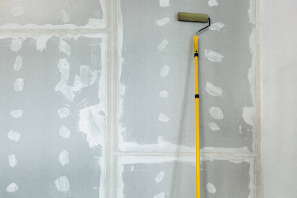 Trusted River Falls, WI Mold Removal Experts