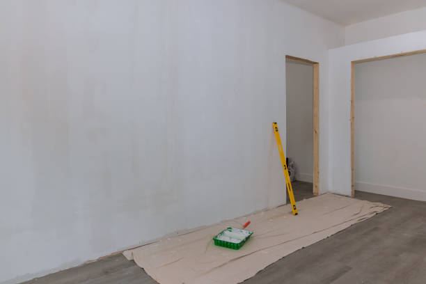 Biohazard Mold Removal in River Falls, WI