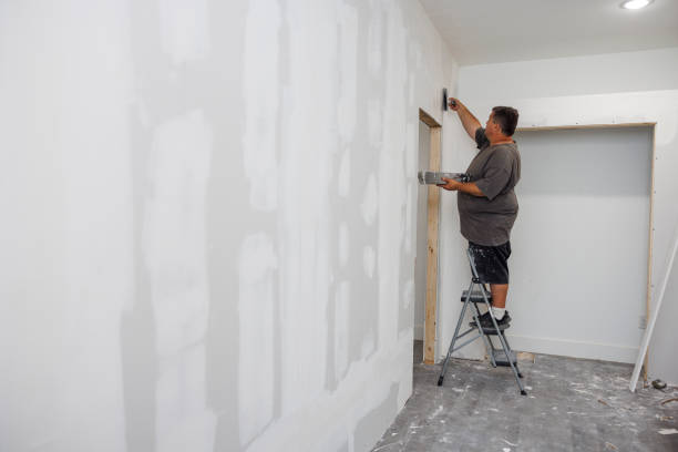 Best Mold Odor Removal Services  in River Falls, WI
