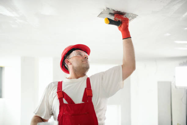 Best Comprehensive Air Testing for Mold Contaminants  in River Falls, WI