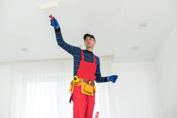 Best Dehumidification Services  in River Falls, WI