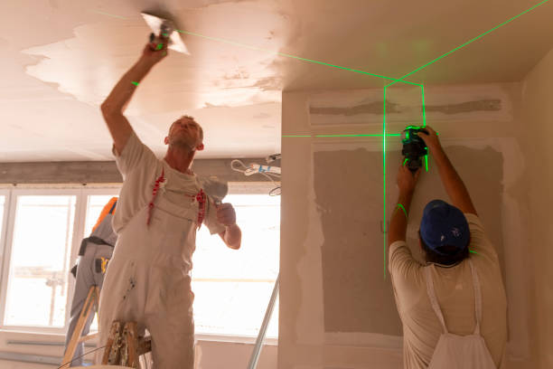  River Falls, WI Mold Removal Pros