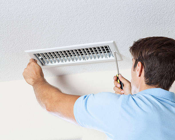 Best Mold Documentation for Insurance Claims  in River Falls, WI
