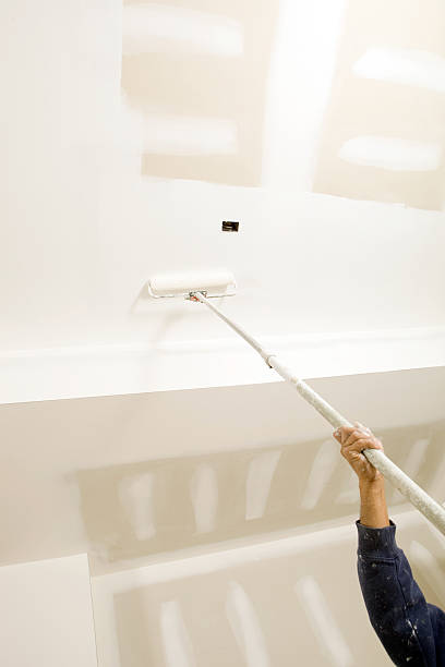 Best Black Mold Removal  in River Falls, WI